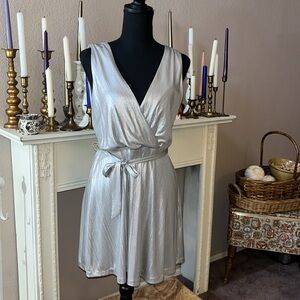 * BB Dakota Aggie Silver dress
